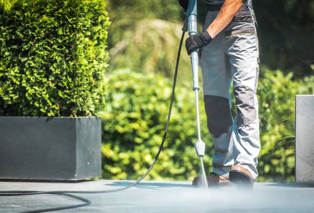 Best Graffiti Removal  in Broadview Park, FL